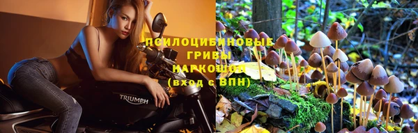 ALPHA-PVP Ельня