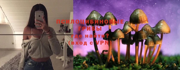 ALPHA-PVP Ельня