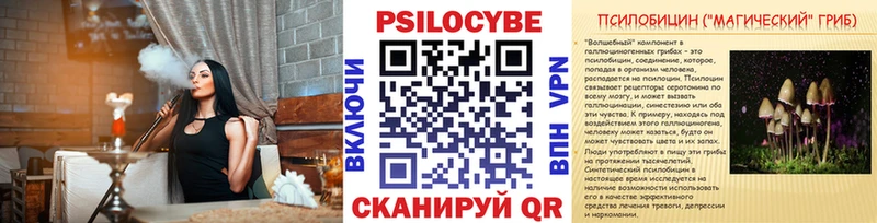 где купить наркотик  Заволжск  Псилоцибиновые грибы MAGIC MUSHROOMS 