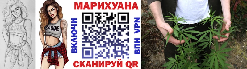 Бошки Шишки планчик  Заволжск 